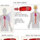 저혈압수치 혈압 정상수치 관리방법 이미지