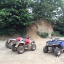 엑스라이프 Daum카페