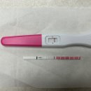 동탄보건소 | 신혼부부 가임력 검사 후기 - 동탄보건소 &amp; 동탄제일아이희망병원 (+ 임신...?)