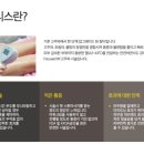예너지(yenergy)