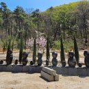 감이남로40번길 이미지