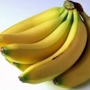 바나나동물병원 이미지