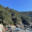 태원 | 태종대 가볼만한곳 태종대 태원 유람선 내돈내산 승선후기