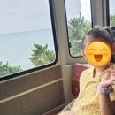 블루파크 | 부산 해운대 블루라인파크 후기 🚋 해변열차 vs 스카이캡슐 솔직 비교!