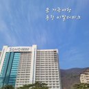 세기당구장 | 홍천 비발디파크🏨 B동 스탠다드룸 후기