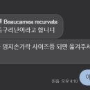 비자르플랫폼