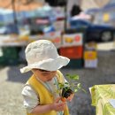 준오농장 이미지