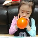 태은전기