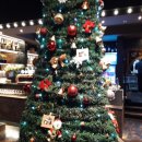 꽃잠 하우젠 이미지