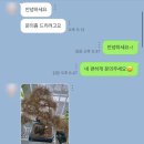 풀애 이미지