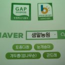 대산임업 - 평창군 | 대산임업