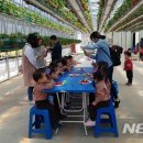 오로정승마을 영농조합법인 이미지