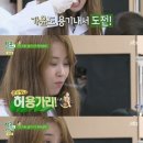 용가리 서울경제