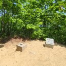 좋은소나무 이미지