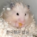 상도동솥뚜껑 숭실대점 네이버블로그