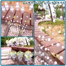 포도향기 이미지