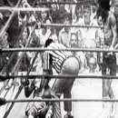 신화복싱체육관 이미지