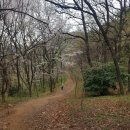 반도크레인 이미지