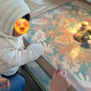 두일농장 이미지