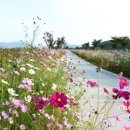 팔당물안개공원 이미지