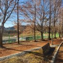 스포츠파크 이미지