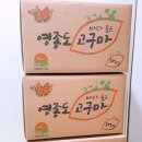 김영일치과 Daum카페