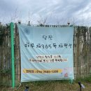 라루체365 이미지