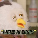 에이스브랜드 이미지