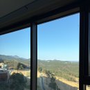 델피노 I 이미지