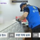 방역수사대 이미지