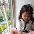여우별미용실