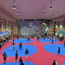 늘푸른태권스쿨 이미지