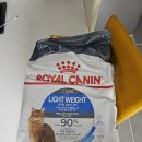 로얄헤어 | 고양이 알러지 사료 로얄캐닌 인도어 퓨리나 리브클리어 헤어볼 등 급여 후기