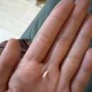 공릉세차장 | 일기는 원래 몰아서 쓰는 거잖아요