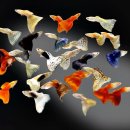 구피 카카오 검색결과