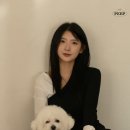 스튜디오핍