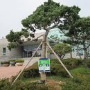 이양희 카카오 검색결과