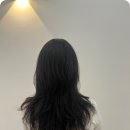 뷰헤어 이미지