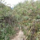 연강나룻길 C코스 이미지