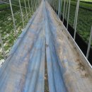 휴양림농장 이미지