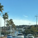 어울림청소년쉼터 | 제주 실외 아이랑 가볼만한 곳 동쪽여행 길갈팜랜드 볼거리 많음