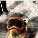 만석공원 이미지