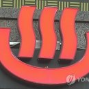 고양이 목욕탕 이미지