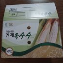 인제시장 | 강원도 속초 중앙시장 인제 찰옥수수 가격 내돈내산 후기