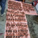 동해-단속-12 이미지