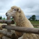 발산목장 이미지