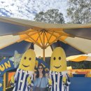 드림월드타운 이미지