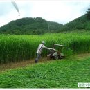 쌍둥이네농장 이미지