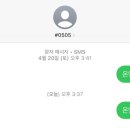개미다실