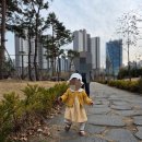24年3月 일상. 갤럭시 입문, 따뜻한 봄이다 나가자
